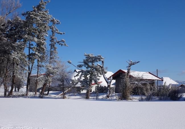 冬晴れの日の除雪機が飛ばす雪♪　八甲田山の眺めなど＾＾_a0136293_16400003.jpg