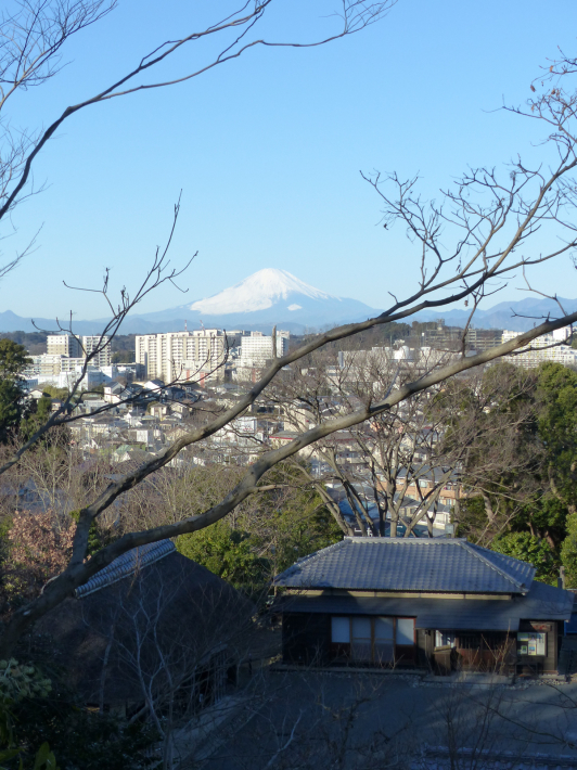 富士山よりもたくさん撮ったもの_f0296312_09574925.jpg