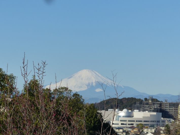 富士山よりもたくさん撮ったもの_f0296312_10091747.jpg