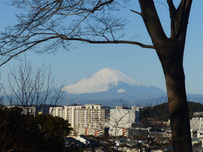 富士山よりもたくさん撮ったもの_f0296312_10115594.jpg