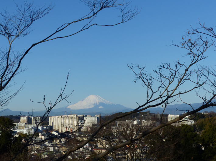 富士山よりもたくさん撮ったもの_f0296312_10115898.jpg