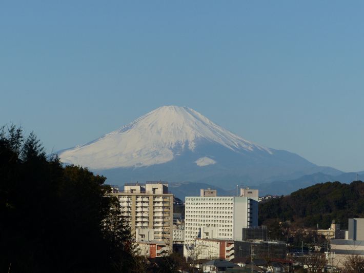 富士山よりもたくさん撮ったもの_f0296312_10133371.jpg