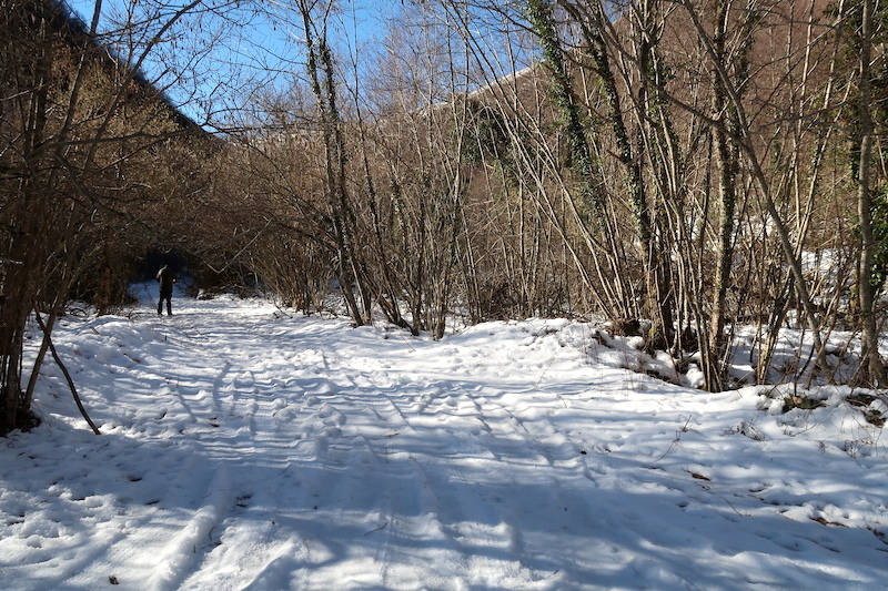 白雪のシビッリーニ山脈と渓谷さんぽ_f0234936_16305525.jpg