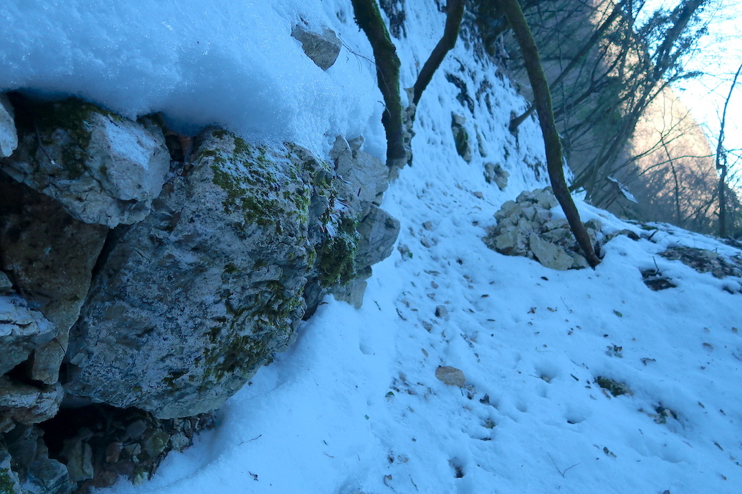 白雪のシビッリーニ山脈と渓谷さんぽ_f0234936_16493354.jpg