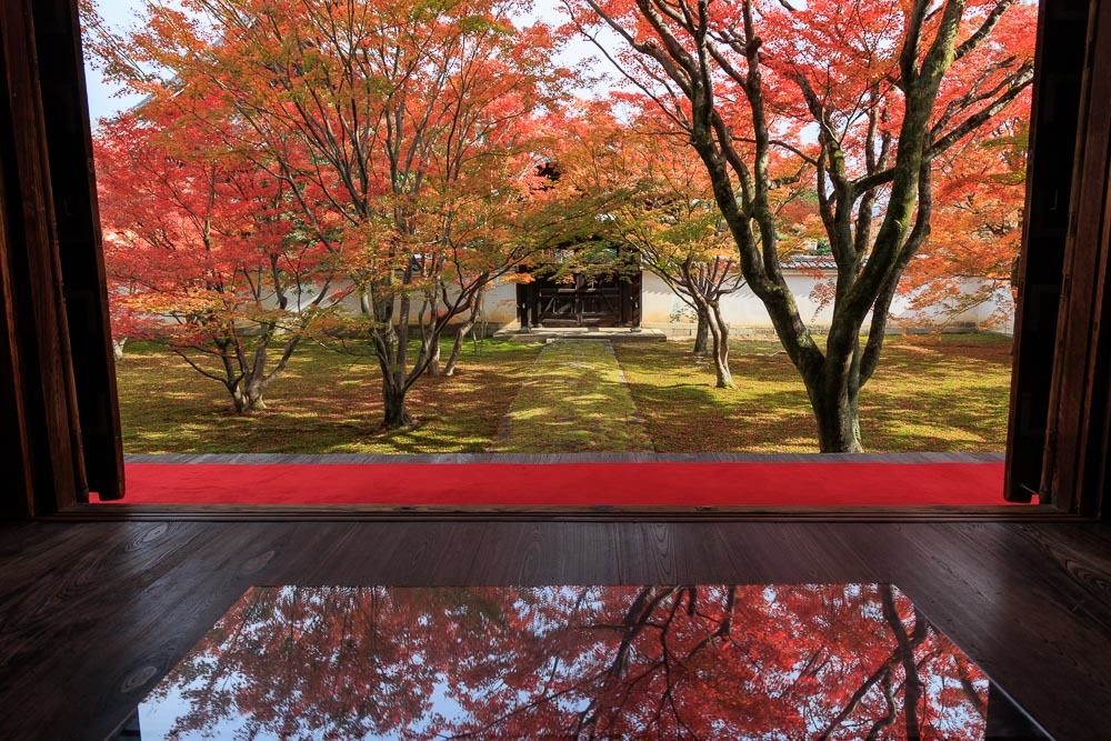 妙覺寺の紅葉2021_b0325840_22415959.jpg