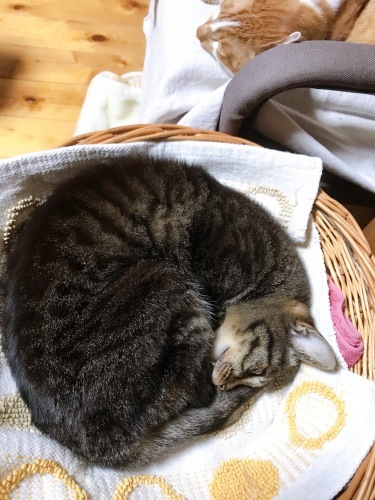 新しい週の始まり_f0054677_09365977.jpg