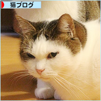 どれだけ、ぐいぐいいけばいいの?_a0389088_18271018.jpg