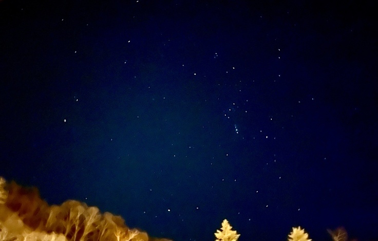 星降る夜。長野県にもまんぼうが?!_c0212604_20504549.jpeg