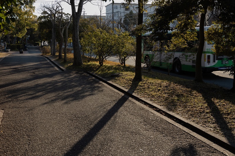 長い影 ♪_d0257606_15455019.jpg
