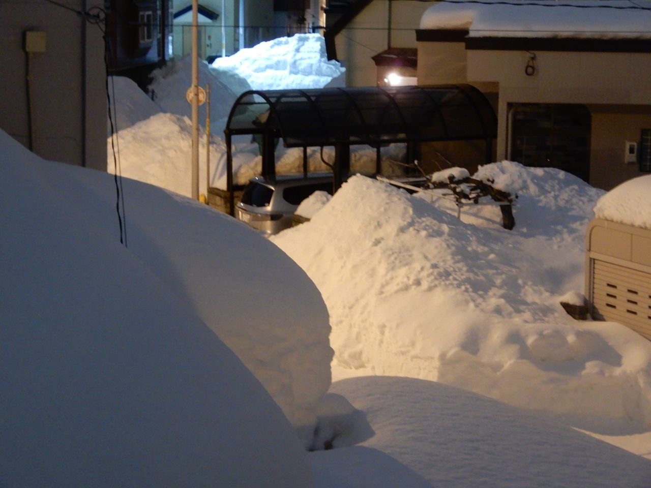 穏やかだが寒い一日_c0025115_20394657.jpg