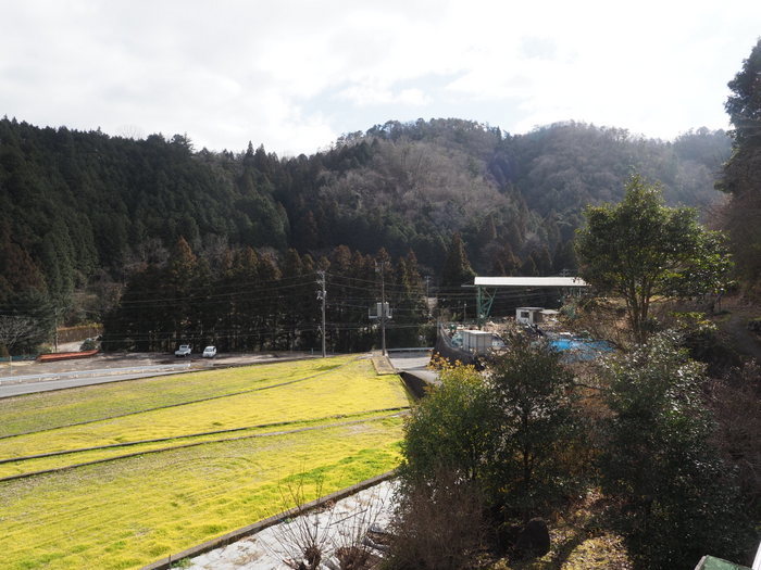 曇り一時小雨のち晴れ_c0116915_22180918.jpg