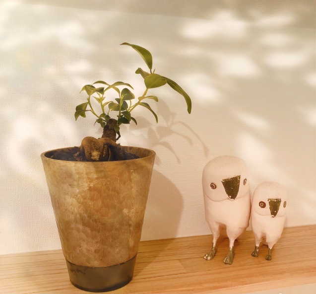 カインズホームで出会った 懐かしい背中 ステキな暮らしlabo