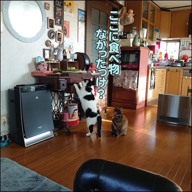 土曜日の騒動_b0151748_09573716.jpg