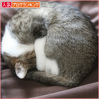 猫たちからのプレゼント_a0389088_15173714.jpg