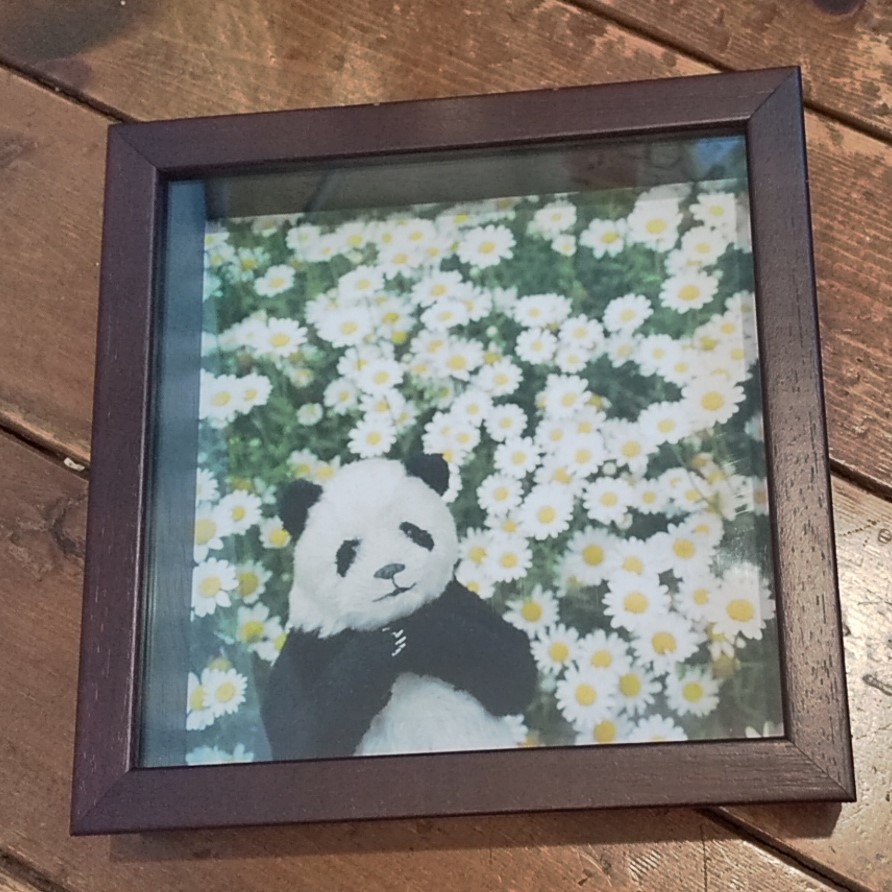 年越しパンダ展 ＰANDA panda LIFE***大西亜由美さん作品通販可能です　１月３１日迄受付中です_d0322493_16143274.jpg