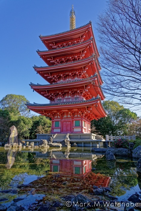 蓮華院誕生寺本院-五重の塔_e0135098_12335828.jpg