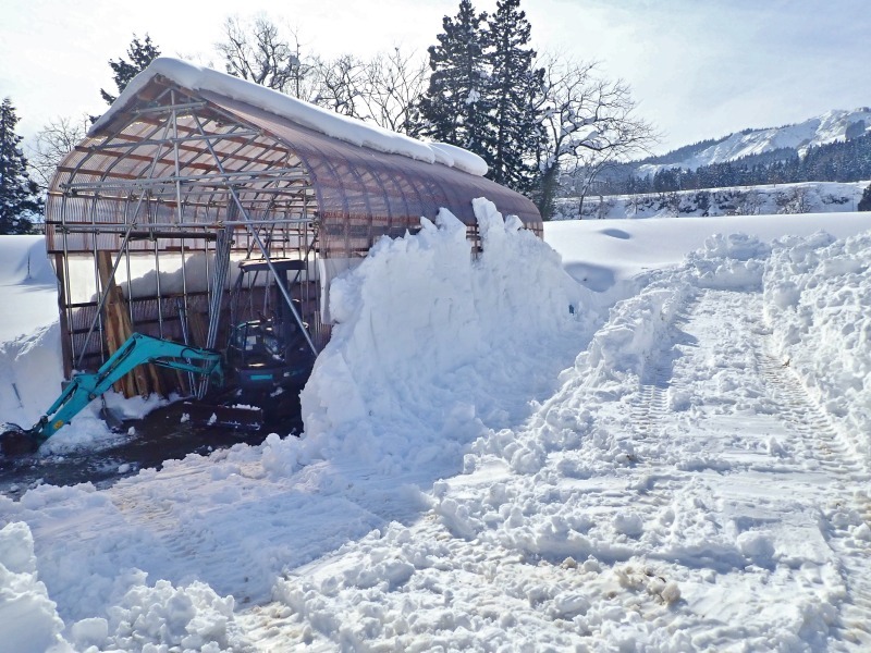 日曜の兼業農家　休憩なしでハウスの雪掘り作業でした_c0336902_21205485.jpg