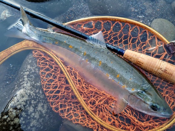 道具には魂が宿る : 弾丸Fisher 花よりライズ