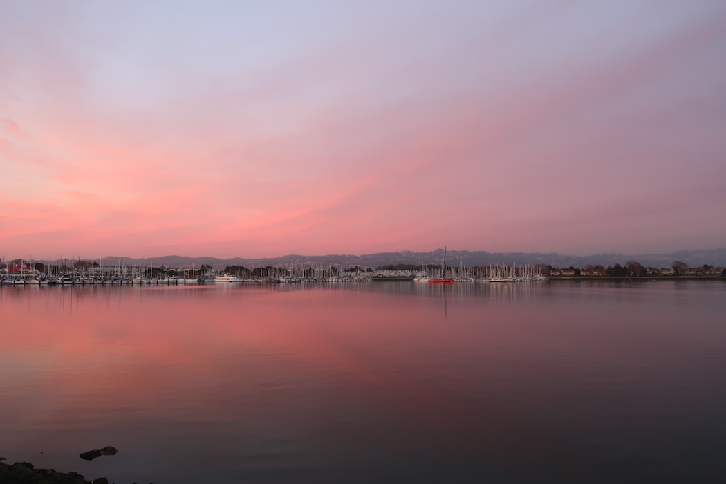 ピンク色に染まったヨットハーバー_a0397115_14163001.jpeg