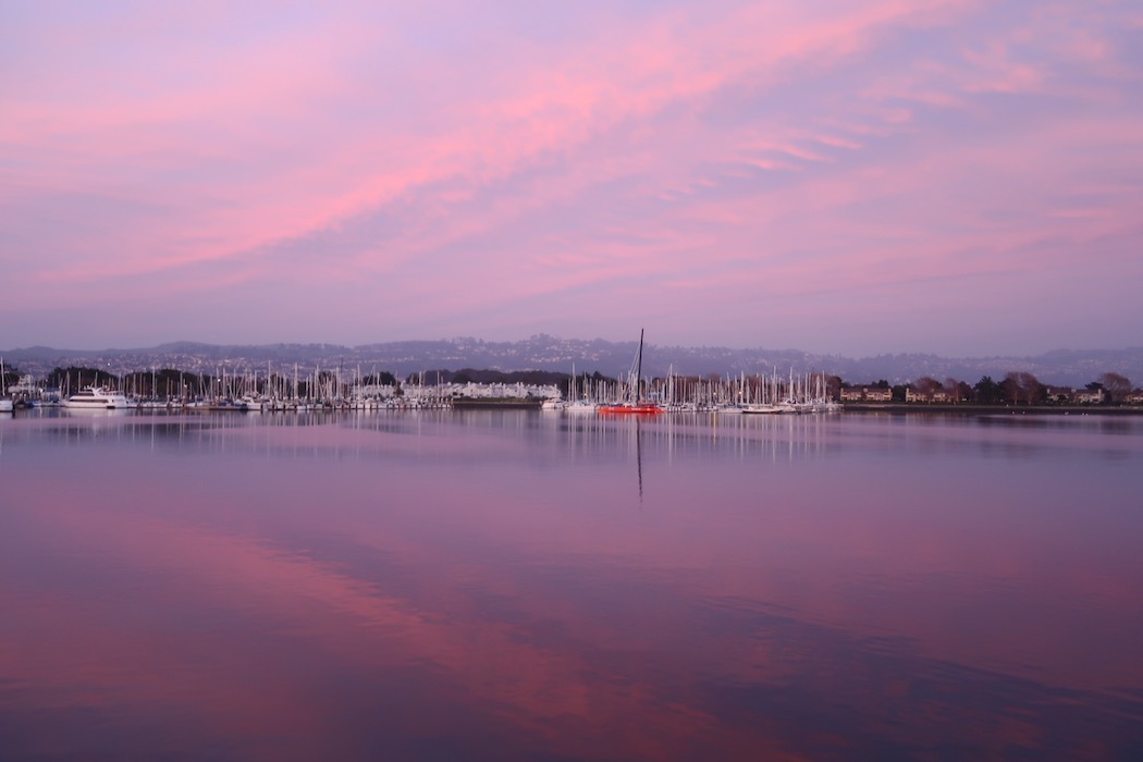ピンク色に染まったヨットハーバー_a0397115_14164836.jpeg
