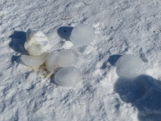 氷点下、動物たちの飲み水も当然凍っているので、毎朝、器から取り出します_b0405523_22220746.jpg