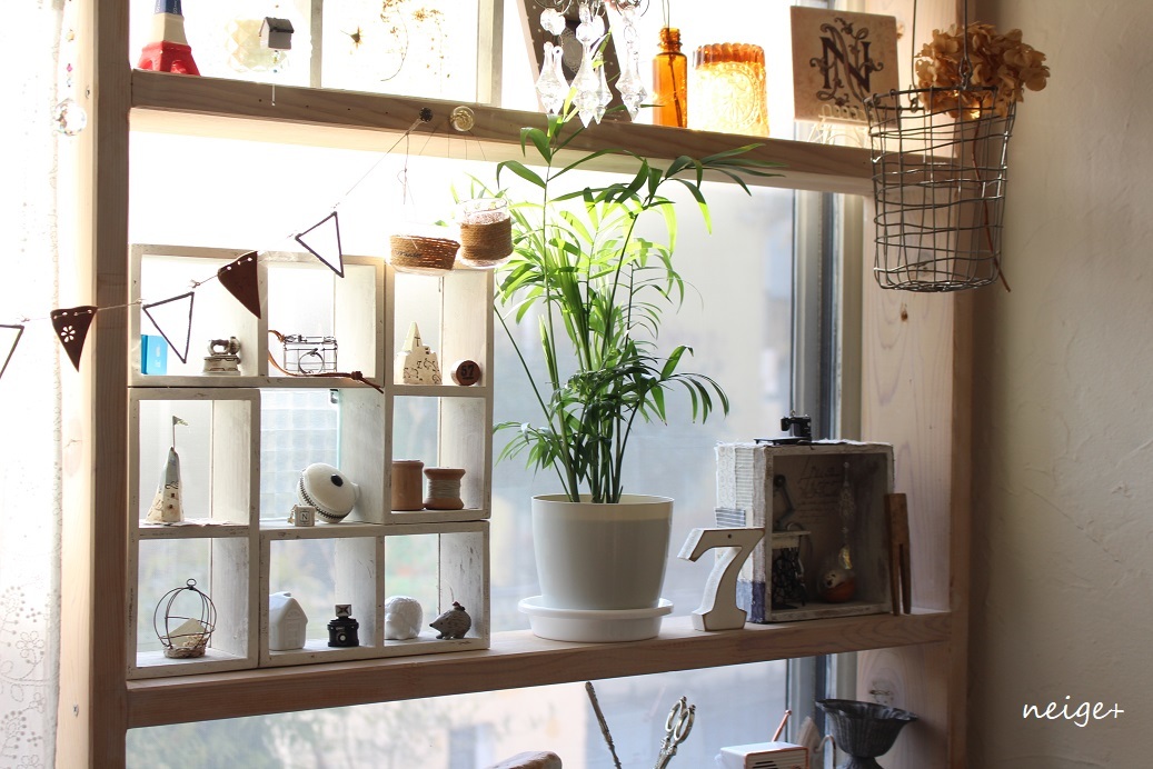 楽天セールお買い物レポ♪”観葉植物”５種はどれもインテリアにお勧めでした_f0023333_22120661.jpg