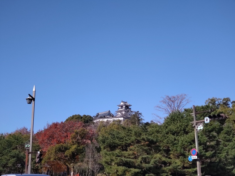 木曜市 日帰り高知の旅 Emily Diary