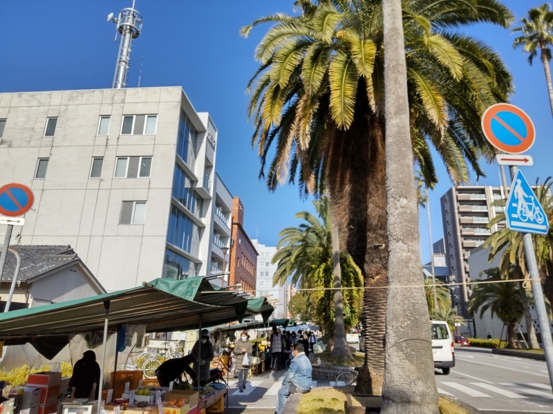 木曜市 日帰り高知の旅 Emily Diary