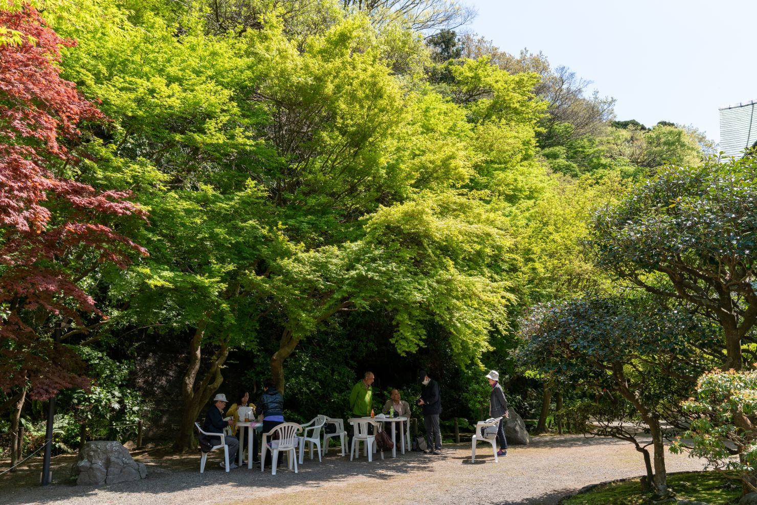 【登録有形文化財|旧華頂家住宅 主屋】 行き方、見学のしかた (神奈川県)_b0212342_10093150.jpg