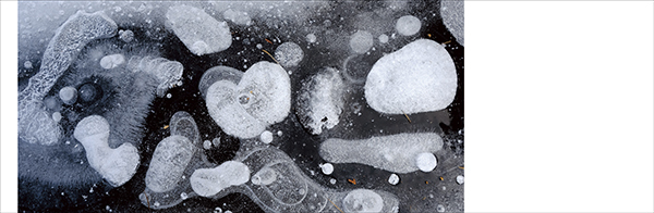 ［1月28日発売］山岸仁史写真集『ICE FORMS 氷の不思議 』、写真展も1月28日から。_c0142549_11143105.jpg