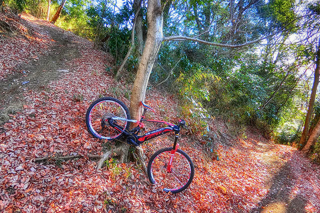 Good Morning 高峰 e-MTB World!XI_b0049658_20105332.jpg