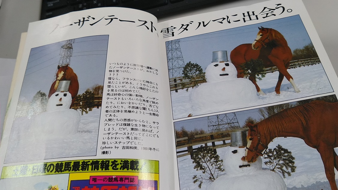競馬四季報との40年 : FISH IT