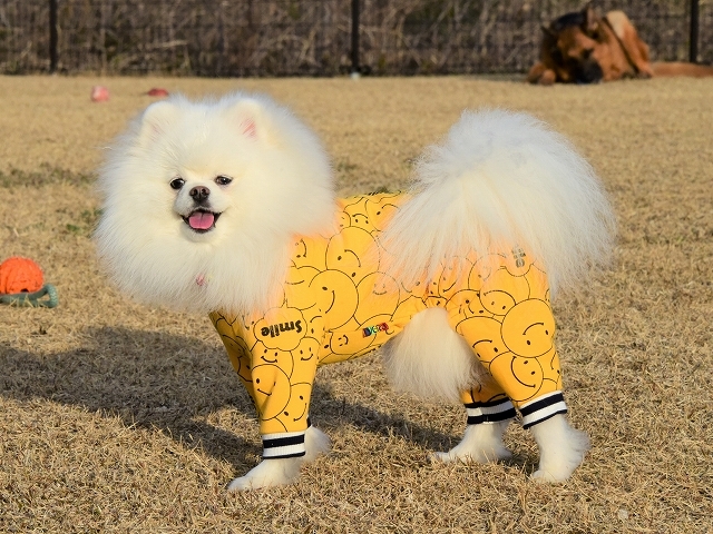 かーさんはよなべをする_d0360206_19593284.jpg