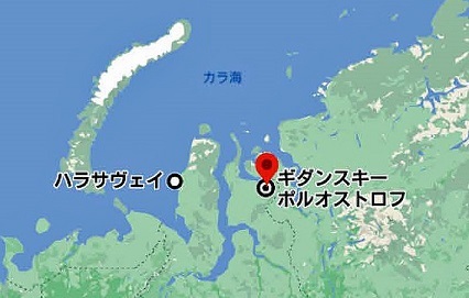 ロシア極北、ヤマル半島のハラサヴェイからのハラとサヴェイの二回目の移送は悪天候のため延期 ～ 偽情報が先行して報道された真相は？_a0151913_15322213.jpg