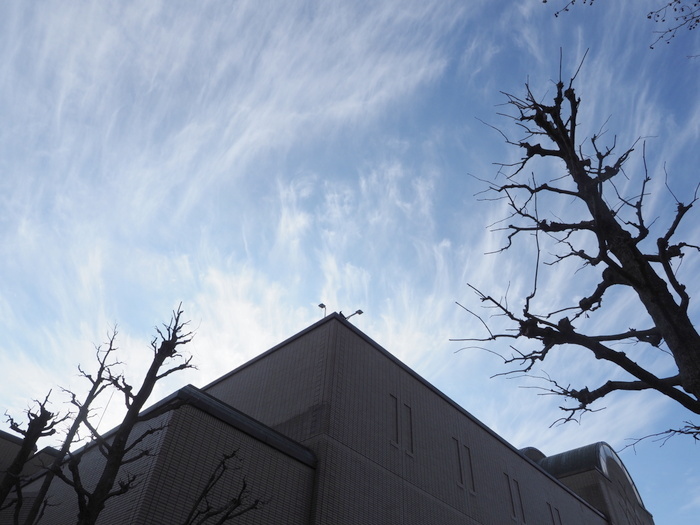 佐伯区民文化センター&五日市中央公園_c0116915_11275094.jpg