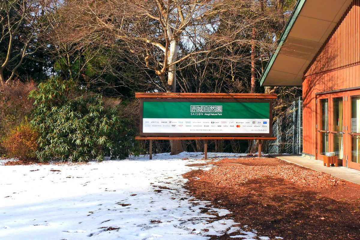 真冬の赤城自然園・・・冬景色 雪模様・・1月24日_a0031821_12360411.jpg