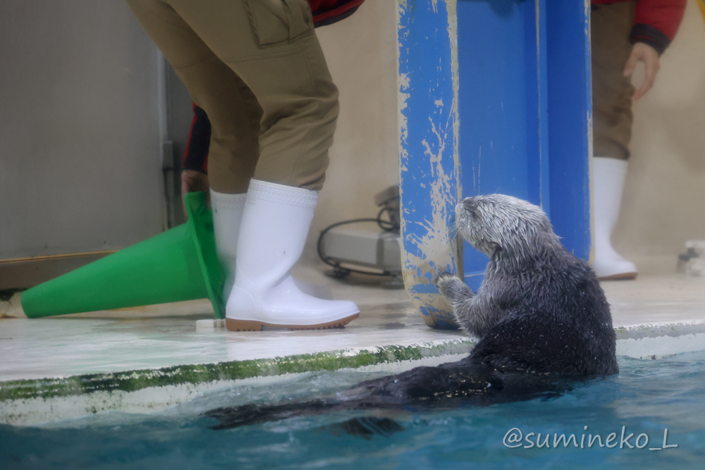 2022/01/09 鳥羽水族館 メイちゃんとキラちゃん : 墨色の鳥籠 2022/01/09 鳥羽水族館 メイちゃんとキラちゃん : 墨色の鳥籠