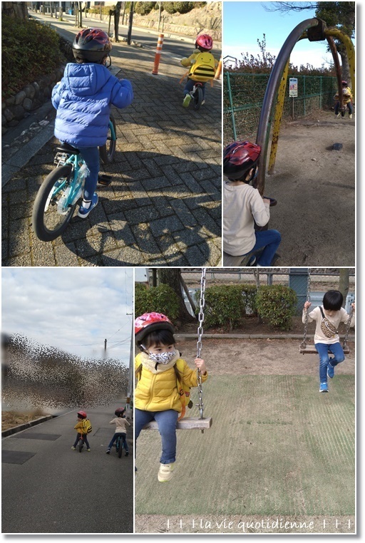 【今週の常備菜】彩りイマイチだけど…赤穂の牡蠣は最高!とコロナ禍の登園自粛1日目は。。。_a0348473_07262064.jpg