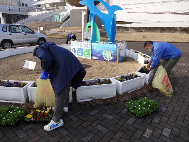 名古屋港水族館前のプランター花壇の植栽R4.1.26_d0338682_12505354.jpg