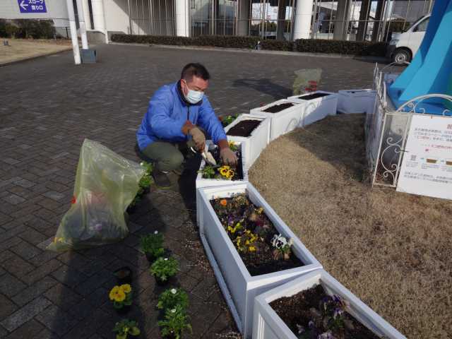 名古屋港水族館前のプランター花壇の植栽R4.1.26_d0338682_12511879.jpg