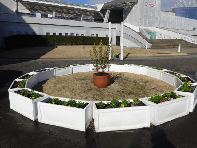 名古屋港水族館前のプランター花壇の植栽R4.1.26_d0338682_12534454.jpg