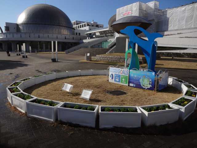 名古屋港水族館前のプランター花壇の植栽R4.1.26_d0338682_12542745.jpg
