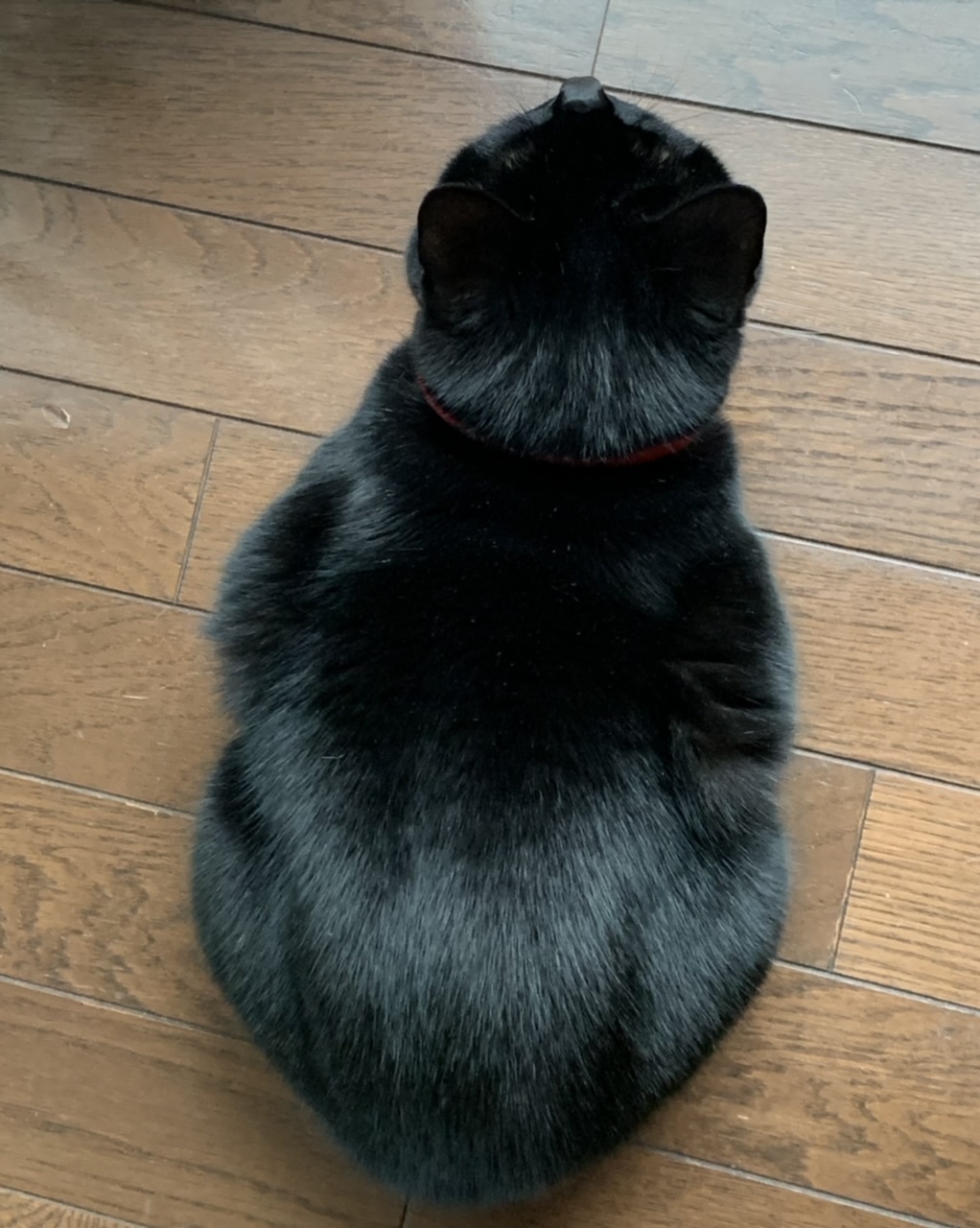 庭先にて_e0358096_19585369.jpeg