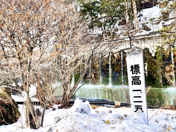 蓼科グランドホテル瀧の湯【家出の宿】_c0212604_06013110.jpeg
