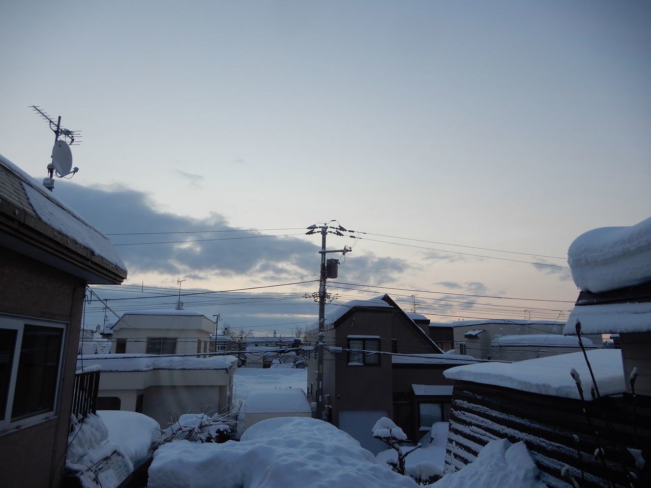 今日もかろうじてプラスに_c0025115_20590025.jpg