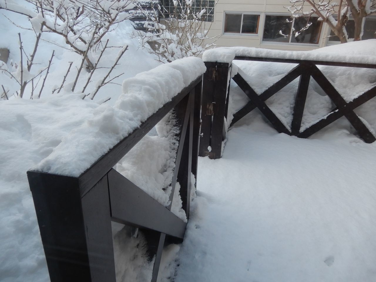 今日もかろうじてプラスに_c0025115_20595863.jpg