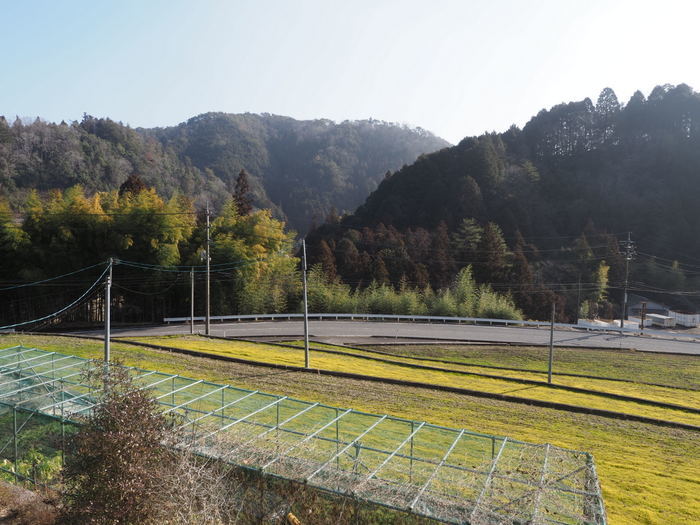 晴れた_c0116915_19450730.jpg