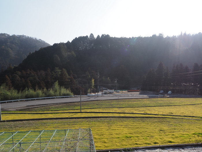 晴れた_c0116915_19452694.jpg