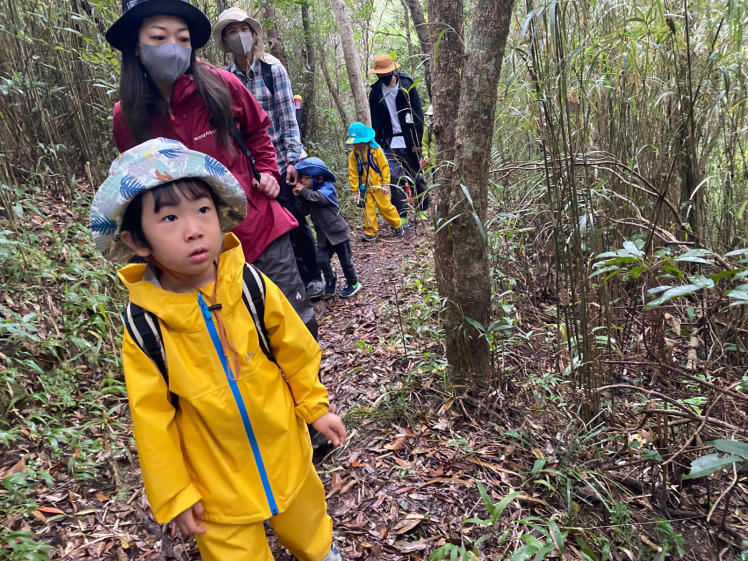 青空ようちえん〔週末〕やまのぼりに挑戦!(1/22)2歳から自分の足で山登りチャレンジ!森を楽しみながら頂上へ!_d0363878_17272856.jpg