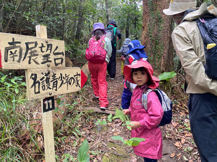 青空ようちえん〔週末〕やまのぼりに挑戦!(1/22)2歳から自分の足で山登りチャレンジ!森を楽しみながら頂上へ!_d0363878_17425246.jpg